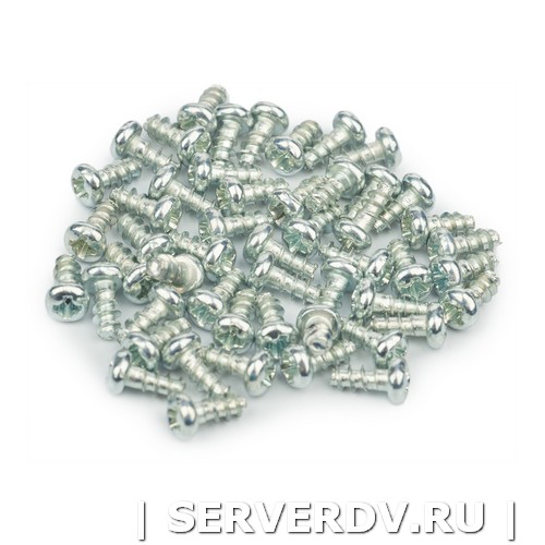 Винт для крепления фланцевых адаптеров 2.6х5, упак.50 шт (DR-547003), Datarex