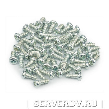 Винт для крепления фланцевых адаптеров 2.6х5, упак.50 шт (DR-547003), Datarex