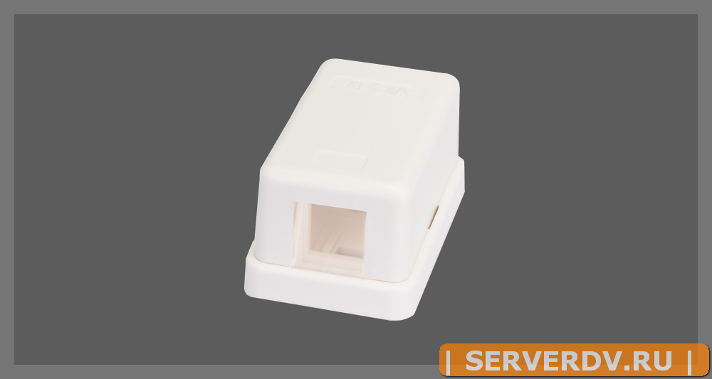 Корпус настенной розетки NETLAN, под 1 модуль-вставку типа Keystone, белый, уп-ка 10 шт.