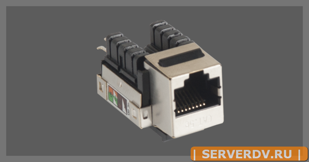 Модуль-вставка NETLAN типа Keystone, Кат.5e (Класс D), 100МГц, RJ45/8P8C, 110/KRONE, T568A/B, экранированный, металлик, уп-ка 10шт.