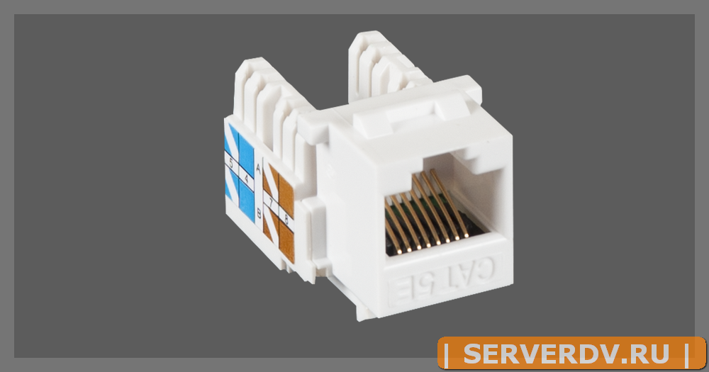 Модуль-вставка NETLAN типа Keystone, Кат.5e (Класс D), 100МГц, RJ45/8P8C, 110/KRONE, T568A/B, неэкранированный, белый, уп-ка 10шт.