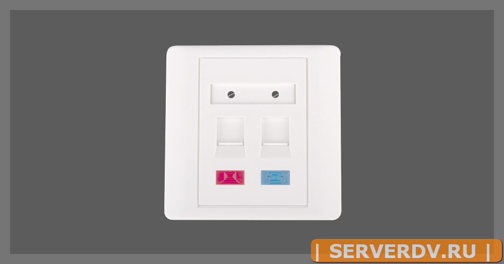 Настенная лицевая панель NETLAN под 2 модуля типа Keystone, с подрамником, со шторкой, белая, уп-ка 10 шт.